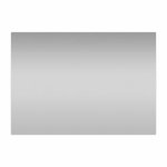 Parrot Glass Cutting Board 210 X 300MM - Silver