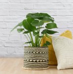 Delicious Monster - Large - 23CM In Zuzu Palm Leaf Basket