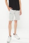 Mens Small Logo Shorts - Grey Melange