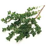 Thyme Essential Oil 20ML