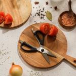 Pro Kitchen Scissors