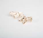 Earrings - One Size Gold