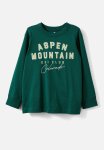 Cotton On Long Sleeve Jonny Tee - Pine Tree Green aspen Moutain
