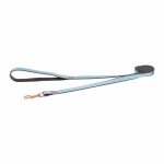 Rogz Urban Classic Lead - Small Turquoise Moon