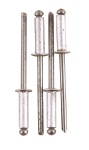 Fragram - Aluminium Rivets 100 Piece - 4.0X12MM