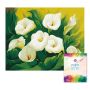 Easy Craft Paint By Number Diy Kit 50X40CM- Bicycle