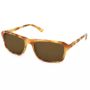 Barbour Tort Wayfarer Sunglasses - Tort