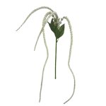 - Veronica - Cream Pack Of 12 Stems - 110CM