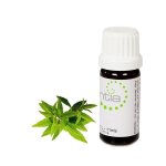Escentia Lemon Verbena Essential Oil - Standardised - 20ML