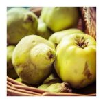 Hot Pot Stand With 4 Coasters - Quince