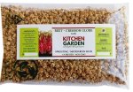 Beet Crimson Globe Sprouting Seeds