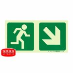 Parrot Photoluminescent 190MM E13 Safety Sign