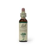 Centaury 20ML