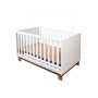 Luan 2-IN-1 Convertible Baby Crib
