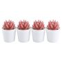 4 Pack - Artificial Potted Succulent Planters - White And Red