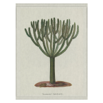 Linen Wall Hanging - Cacti A0