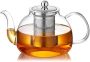 Dopudo 40OZ 1200ML Glass Teapot With Infuser Stovetop Safe Clear Glass Tea Pot Kettle Borosilicate Tea Pot With Infusers Filter For Loose Tea Tea