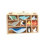 Coastal Creatures And Shelf