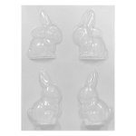Easter Rabbit With Carrot Mould E2