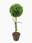 Artificial Topiary Ball Tree 70CM