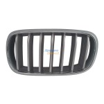 Bmw F15 X5 Kidney Grille Silver With Chrome Frame Left 13-18