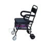Can Sit And Fold Elderly Shopping Carts
