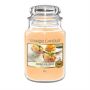 Yankee Candle Mango Ice Cream Large Jar Retail Box No