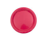 Small Paper Plate Cerise Pink - 10PC