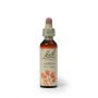 Aspen 20ML