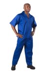 Short Sleeve Suit - Royal Blue 44
