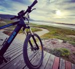 E-bike Import & Distribution Business