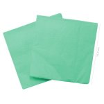 Turquoise Serviette Pack Of 20