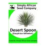 Palm Desert Spoon Dasylirion Wheeleri 12'S
