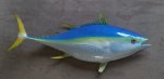 Yellowfin Tuna Large 142CM Tyf L01 Short Dorsals