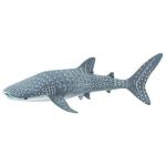 Whale Shark By