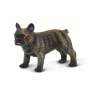 French Bulldog By