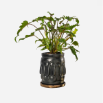 Unity Planter - Black Bronze