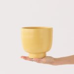 Shing Plinth Planter - Mustard Yellow - 13CM