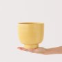 Shing Plinth Planter - Mustard Yellow - 13CM