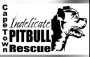 Donate Dog Food To Indelicate Pitbull Rescue Centre