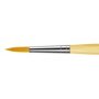 Junior Synthetic School Painting Brush Size 16 Round