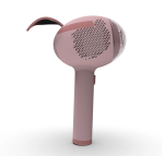 Iyoung MINI Diode Laser