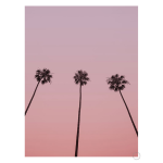 Sunset Boulevard Art Print - A4