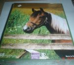 Puzzle Horse In Field 48PC PZ6