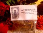 African Potato Herb Hypoxis Rooperi