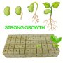 1-INCH Hydroponic Rockwool Cubes - Seed Starter For Soilless Cultivation Plant Propagation & Lawn Care Light Brown