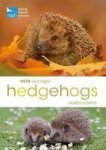 Rspb Spotlight Hedgehogs Paperback