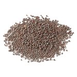 Black Mustard Seeds Brassica Nigra - Bulk - 500G