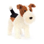 Hector Fox Terrier By