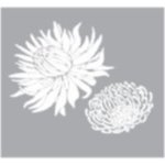 Stencil Protea